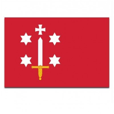 Gemeente vlag Haarlem - 2 Gemeente vlag Haarlem - 2