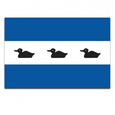 Gemeente vlag Diemen - 2 Gemeente vlag Diemen - 2