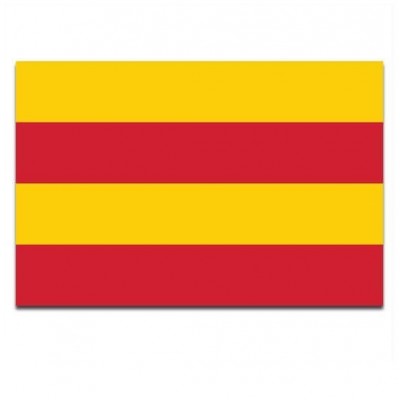 Gemeente vlag Heemstede - 2