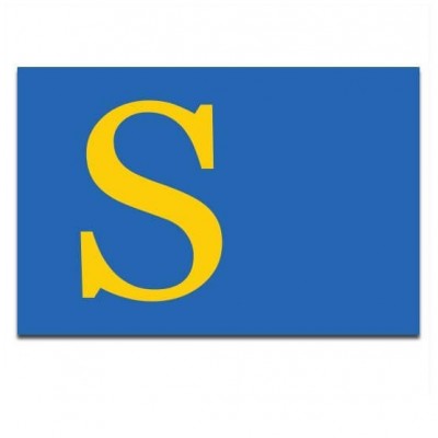 Gemeente vlag Laren - 2