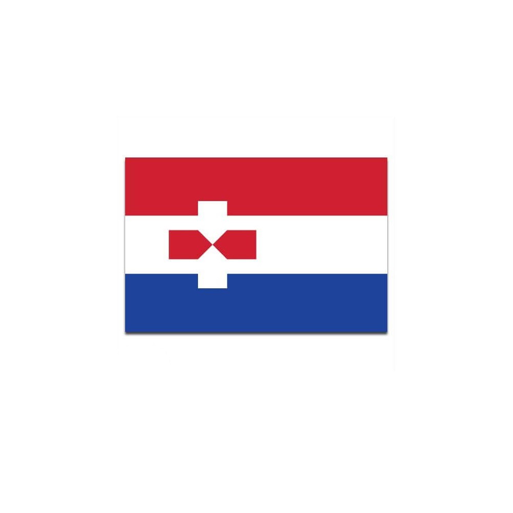 Gemeente vlag Zaanstad - 2