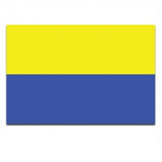 Gemeente vlag Zandvoort - 2
