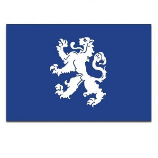 Gemeente vlag Heemskerk - 2