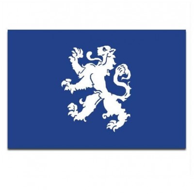 Gemeente vlag Heemskerk - 2