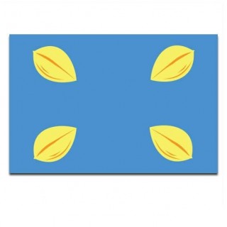 Gemeente vlag Hilversum - 2