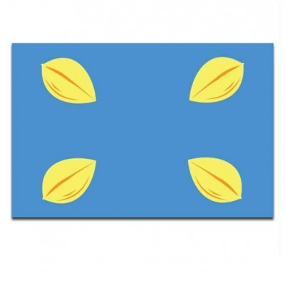 Gemeente vlag Hilversum - 2