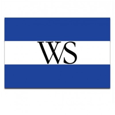 Gemeente vlag Weesp - 2