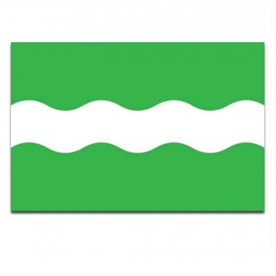 Gemeente vlag Bunnik - 2