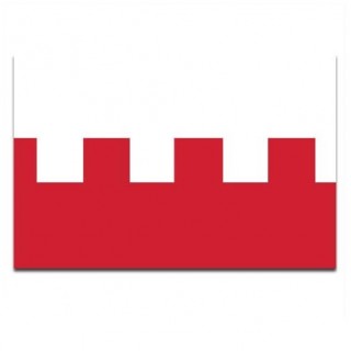 Gemeente vlag Rhenen - 2
