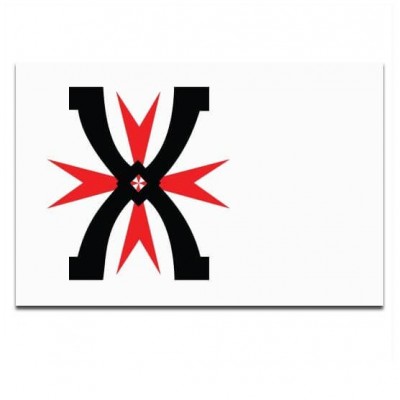 Gemeente vlag Montfoort - 2