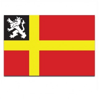 Gemeente vlag Utrechtse Heuvelrug - 2