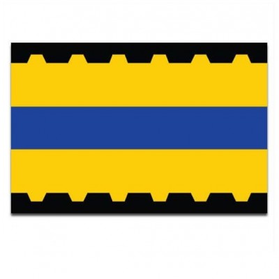 Gemeente vlag Veenendaal - 2