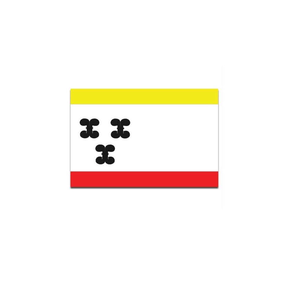 Gemeente vlag Vianen - 2