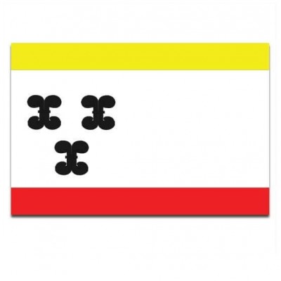 Gemeente vlag Vianen - 2 Gemeente vlag Vianen - 2