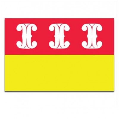 Gemeente vlag Wijk bij Duurstede - 2