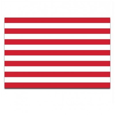 Gemeente vlag Goes - 2