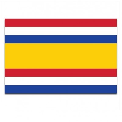 Gemeente vlag Tholen - 2