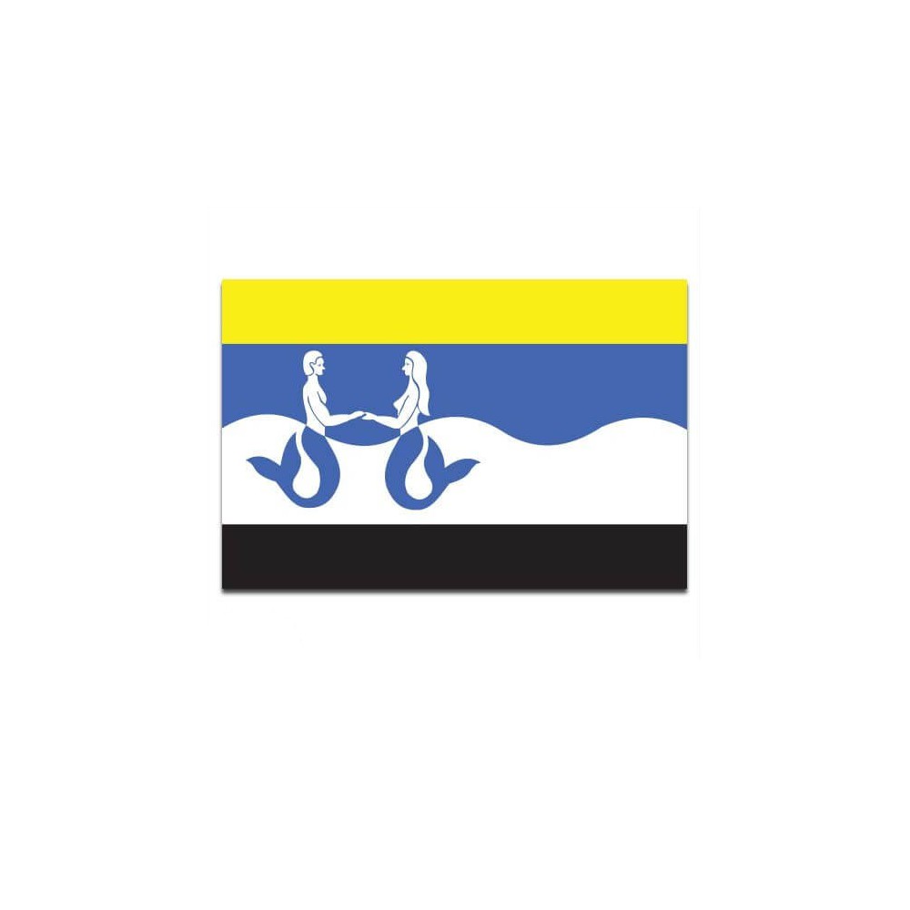 Gemeente vlag Schouwen-Duiveland - 2