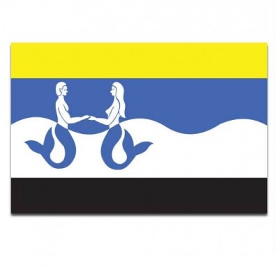 Gemeente vlag Schouwen-Duiveland - 2 Gemeente vlag Schouwen-Duiveland - 2