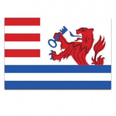 Gemeente vlag Terneuzen - 2