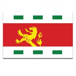 Gemeente vlag Barendrecht - 2