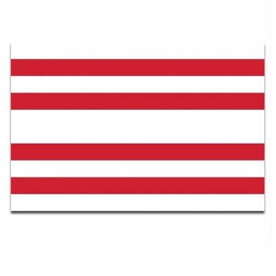 Gemeente vlag Gorinchem - 2