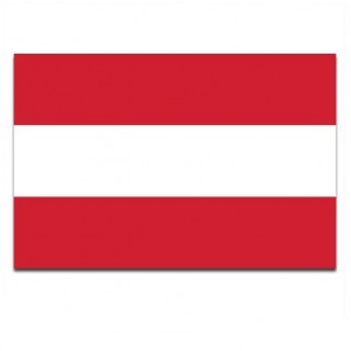 Gemeente vlag Gouda - 2