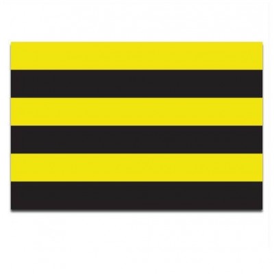 Gemeente vlag Schiedam - 2