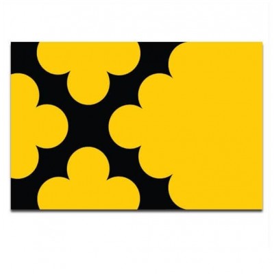 Gemeente vlag Sliedrecht - 2