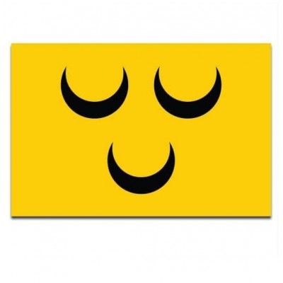 Gemeente vlag Voorschoten - 2