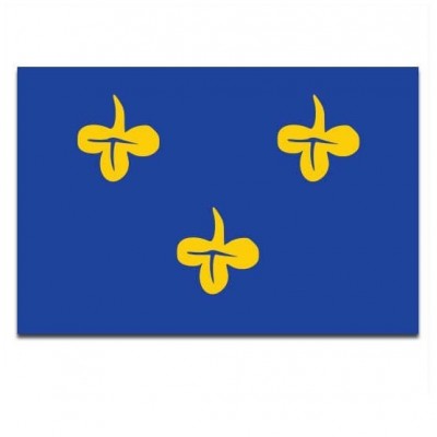 Gemeente vlag Zoeterwoude - 2 Gemeente vlag Zoeterwoude - 2