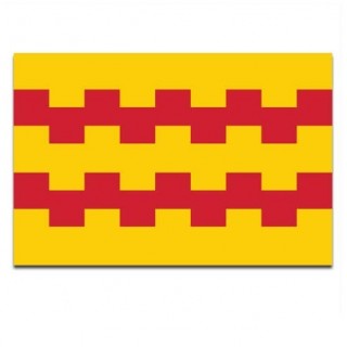 Gemeente vlag Leerdam - 2