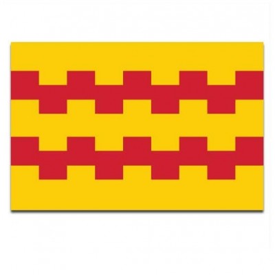 Gemeente vlag Leerdam - 2