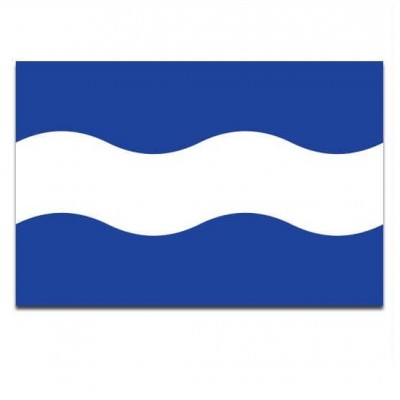 Gemeente vlag Maassluis - 2