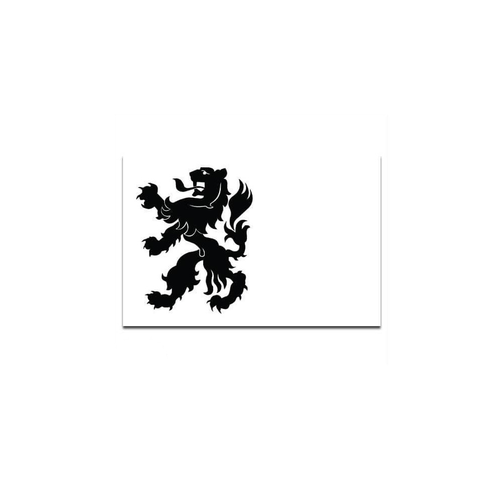 Gemeente vlag Noordwijk - 2
