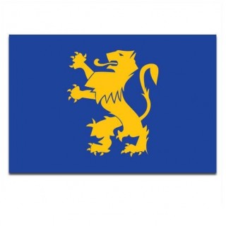 Gemeente vlag Noordwijkerhout - 2