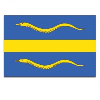 Gemeente vlag Pijnacker-Nootdorp - 2