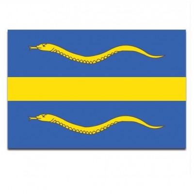 Gemeente vlag Pijnacker-Nootdorp - 2 Gemeente vlag Pijnacker-Nootdorp - 2