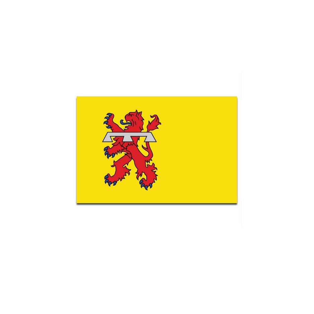 Gemeente vlag Teylingen - 2