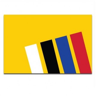 Gemeente vlag Liesveld - 2