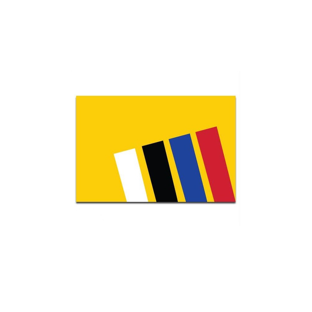Gemeente vlag Liesveld - 2