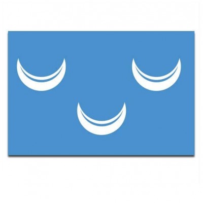 Gemeente vlag Wassenaar - 2