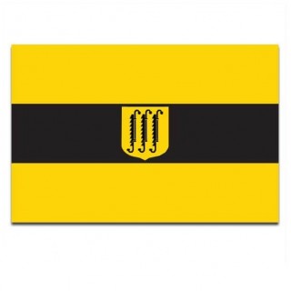 Gemeindeflagge Zwijndrecht - 2
