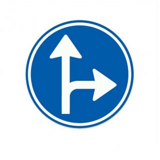 D06-R Verkehrsschild-Aufkleber mit Aufforderung, einer der angegebenen Fahrtrichtungen zu folgen – 1