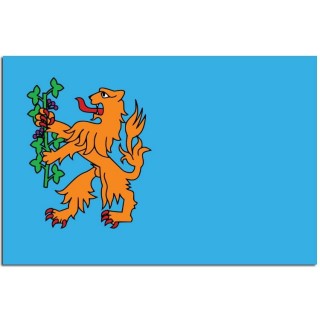Gemeindeflagge Brummen - 2
