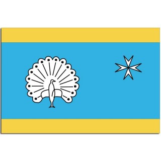 Gemeente vlag Ermelo - 2