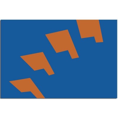 Gemeente vlag Berkelland - 2