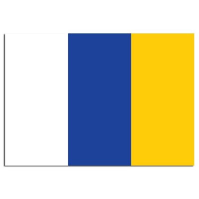 Gemeente vlag Doetinchem - 2