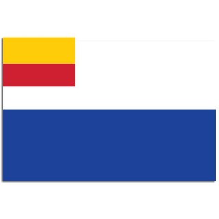 Gemeente vlag Duiven - 2