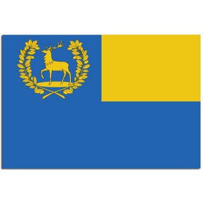 Gemeente vlag Epe - 2